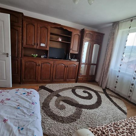 Appartamento Garsoniera Emilia Câmpulung Moldovenesc Esterno foto