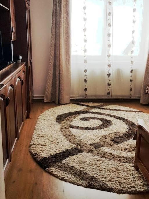 Appartamento Garsoniera Emilia Câmpulung Moldovenesc Esterno foto