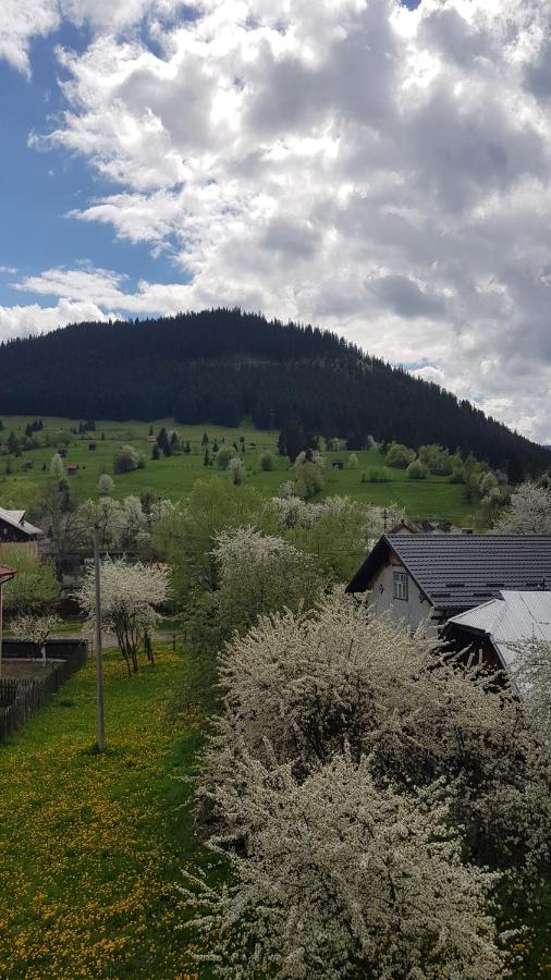 Appartamento Garsoniera Emilia Câmpulung Moldovenesc Esterno foto